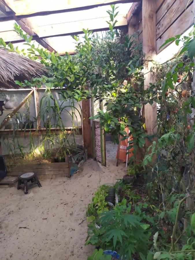 Casa Candombe Y Mar Barra de Valizas Buitenkant foto
